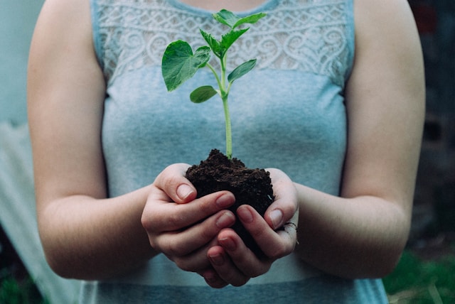 Photo d'un buste de femme qui tient entre ses mains un plant de courge © Nikola Jovanovic sur Unsplash